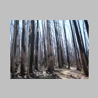16July2014 VistaRidgeTrail 001.jpg